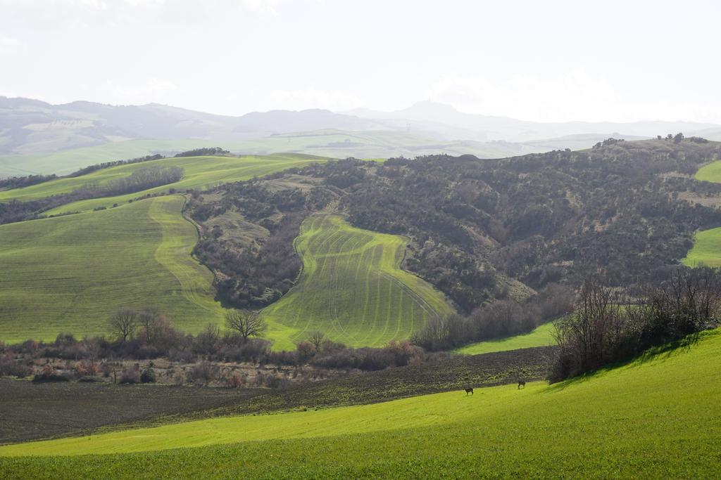 Villa La Tana Del Bianconiglio à Castiglione dʼOrcia Extérieur photo