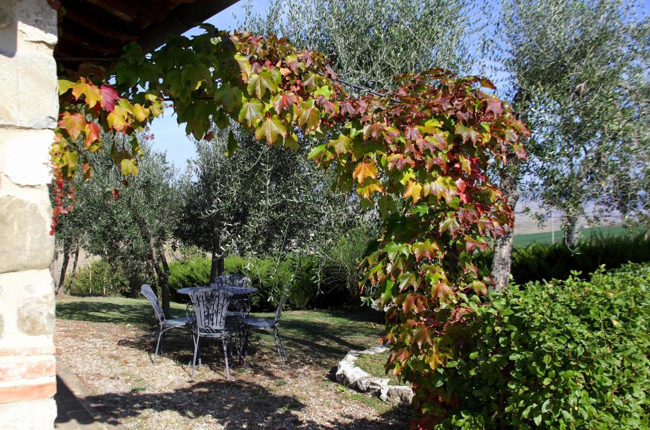 Villa La Tana Del Bianconiglio à Castiglione dʼOrcia Extérieur photo